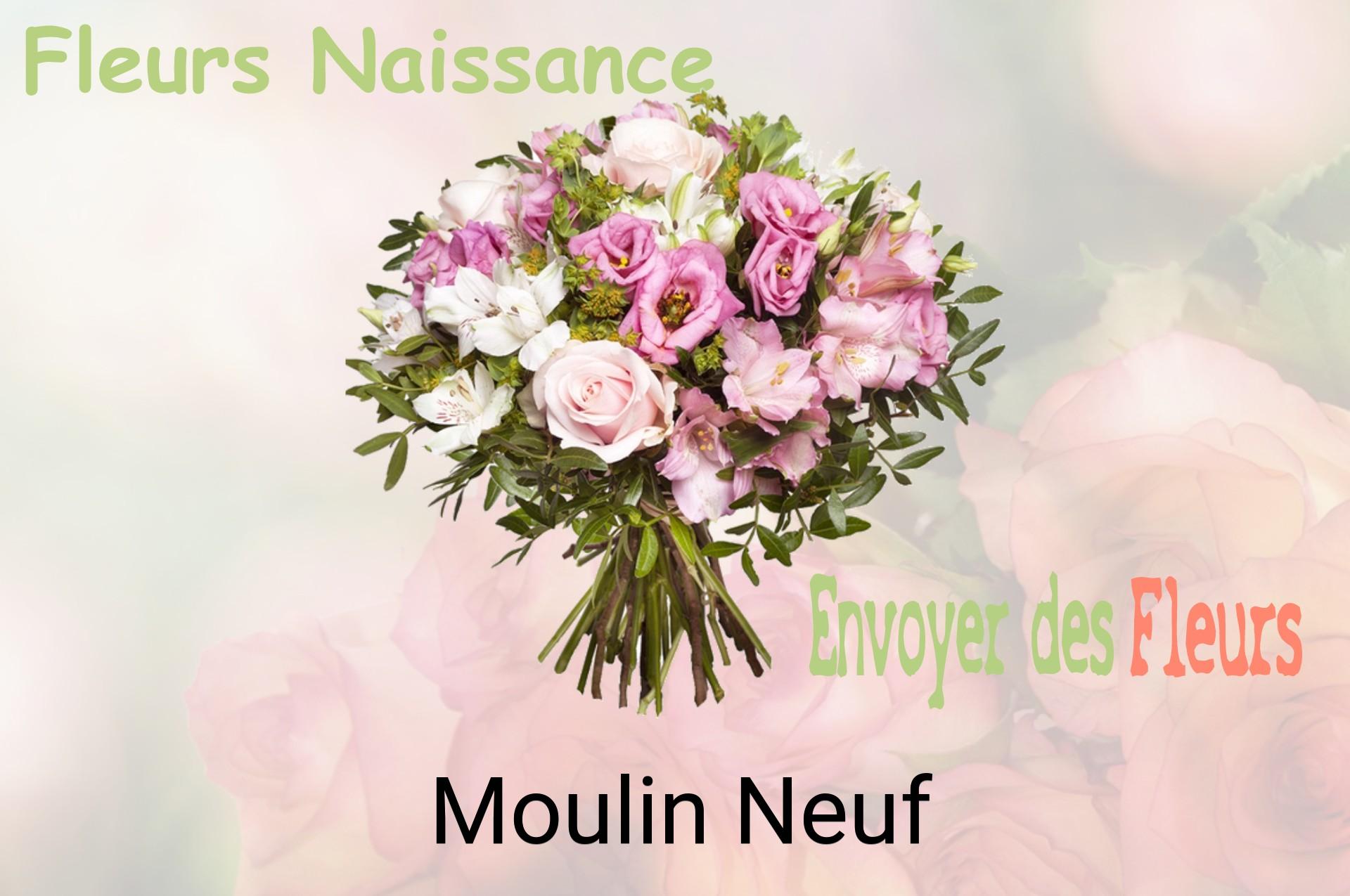 Bouquet de fleurs de naissance livré à Moulin-Neuf